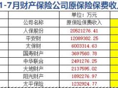 2017年前7月财产保险公司原保险保费收入情况表.xls