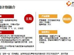 新华金彩一生终身年金保险计划简介16页.ppt