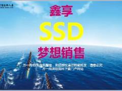 富德生命鑫享事成SSD梦想销售37页.ppt