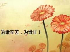 每日鸡汤这辈子为谁辛苦为谁忙.rar