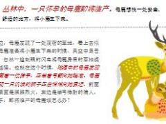 每日保险故事临产的母鹿6页.ppt