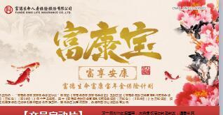 富德生命富康宝年金保险计划产品启动片28页.ppt