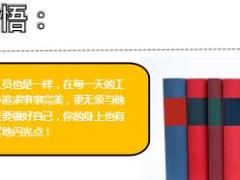 每日保险故事没有它那么完美7页.ppt