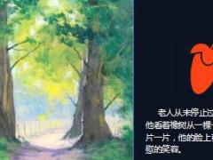 每日正能量最美丽的森林12页.ppt