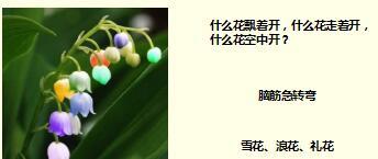 每日快乐早会17年9月7日使用15页.ppt