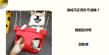 每日快乐早会17年9月8日使用15页.ppt