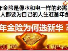 新华福享金生销售培训产品篇21页.ppt