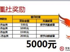 一张保单带来的基本法利益分析富德生命版29页.ppt