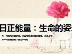每日正能量生命的姿态14页.ppt
