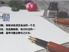 每日保险故事善行筑成的天梯9页.ppt