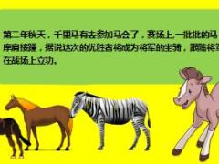 每日正能量千里马传奇21页.ppt