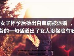女子怀孕后检出白血病被退婚 爷爷的一句话道出了女人没保险有多苦12页.ppt