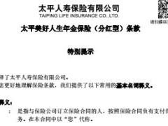 太平美好人生年金保险分红型条款11页.rar