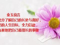每日正能量把最擅长的事做到极致13页.ppt