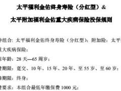 太平福利金佑终身寿险分红型条款运营规则折标系数边际新业务价值率.rar