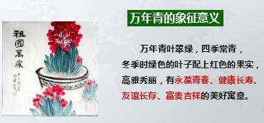 吉祥人寿万年青终身重疾险培训教案产品篇40页.ppt