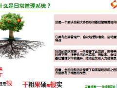 团队日常管理系统介绍国寿版含备注80页.ppt