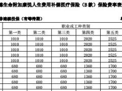 富德生命附加康悦人生费用补偿医疗保险B款费率表4页.rar