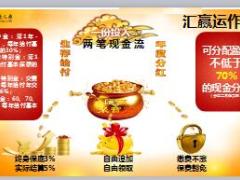 保监134号文件下泰康汇赢年金保险计划停售宣导片64页.ppt