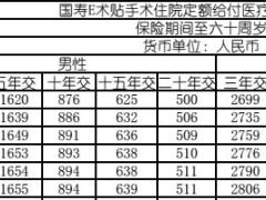 国寿E术贴手术住院定额给付医疗保险费率表2页.rar