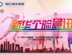 透过养老危机看新华福享金生35页.ppt