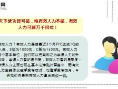 国寿基本法有效人力解万千招式8页.ppt