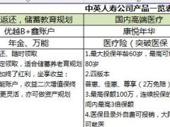 中英人寿公司产品详细列表一览表1页.xlsx
