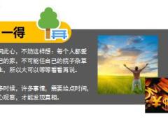每日保险故事多一点耐心5页.ppt