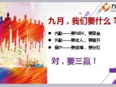 太平悦享无忧分红重疾组合销售推动片24页.ppt
