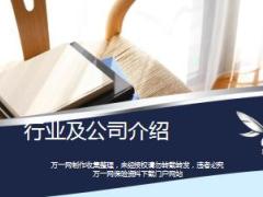 互联网金融行业及翼勋金融公司介绍43页.ppt