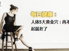 每日健康人体5大黄金穴8页.ppt