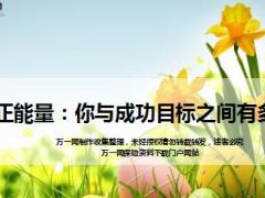 每日正能量你与成功目标之间有多远11页.ppt
