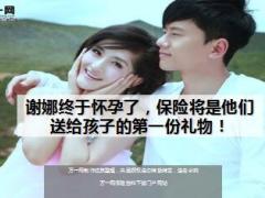 谢娜终于怀孕了保险将是他们送给孩子的第一份礼物15页.ppt