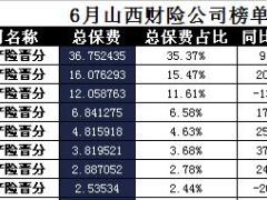 山西省2017年前6月财险公司总保费排行榜.xls