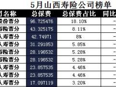 山西省2017年前5月寿险公司总保费排行榜.xls