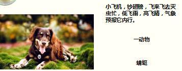 每日快乐早会17年9月29日使用15页.ppt