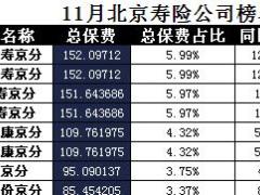 北京2016年前11月寿险公司总保费排行榜.xls