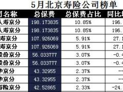 北京2017年前5月寿险公司总保费排行榜.xls