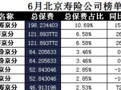 北京2017年前6月寿险公司总保费排行榜.xls