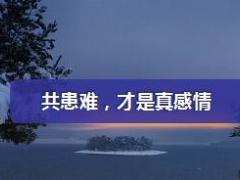 每日鸡汤共患难才是真感情.rar