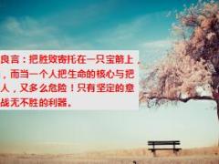 每日正能量不相信自己的意志永远也做不成将军10页.ppt