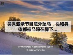 吴秀波录节目意外坠马头和身体都被马踩在脚下10页.ppt
