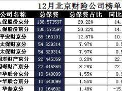 北京2016年前12月财险公司总保费排行榜.xls