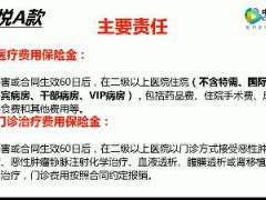 视频中国人寿康悦百万医疗简介.rar
