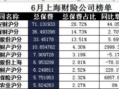 上海2017年前6月财险公司总保费排行榜.xls