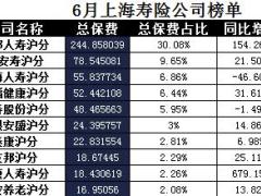 上海2017年前6月寿险公司总保费排行榜.xls