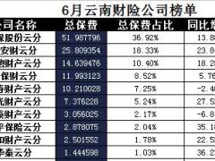 云南省2017年前6月财险公司总保费排行榜.xls