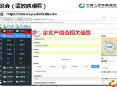国寿e店产说会操作说明11页.ppt