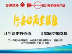 民生人寿行安心两全保险产品介绍17页.ppt