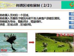 孤单区域的建立管理与经营国寿版47页.ppt